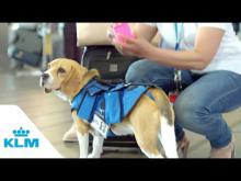 Embedded thumbnail for KLM Lost &amp;amp; Found service