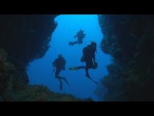 Embedded thumbnail for Dakuwaqa&amp;#039;s Garden - Underwater footage from Fiji &amp;amp; Tonga